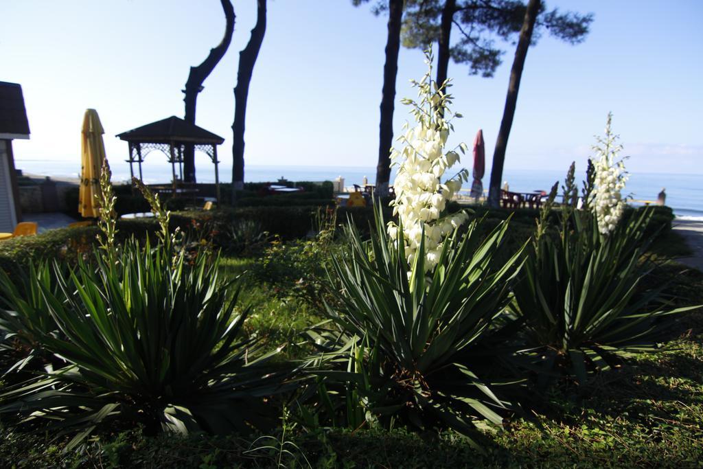 Villa Reta Hotel & Spa Grigoleti Exteriér fotografie